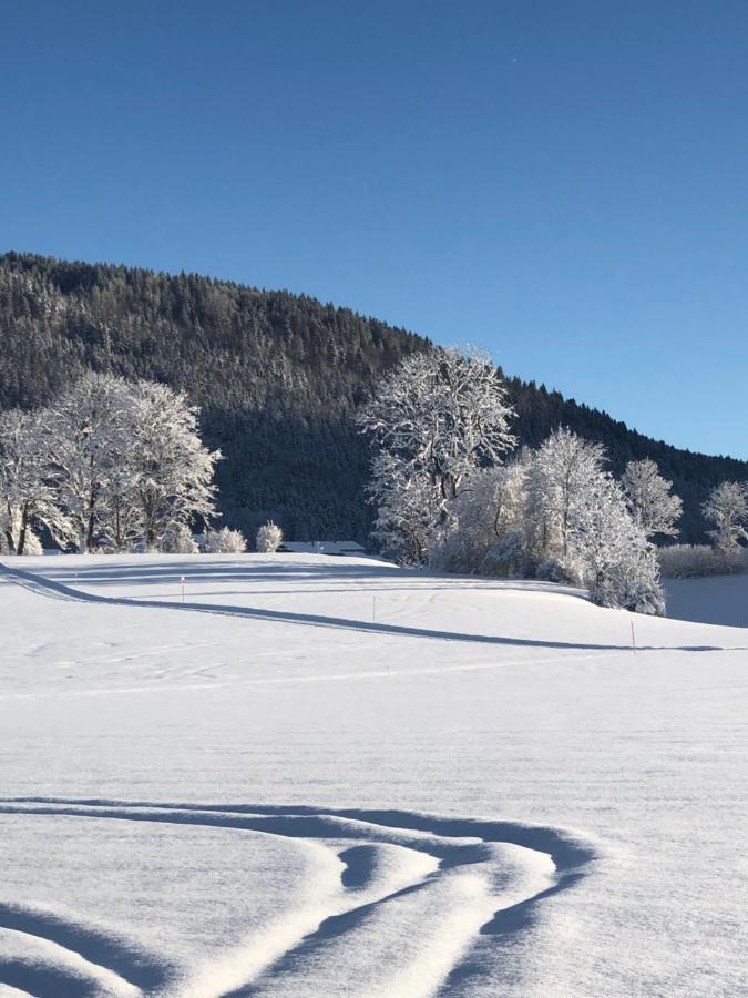 Lindenhof Inzell - Fewo Mit Chiemgaukarte Dış mekan fotoğraf
